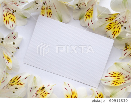 Blank greeting card in the flowers frame 60911330