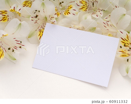 Blank greeting card with white alstroemeria 60911332
