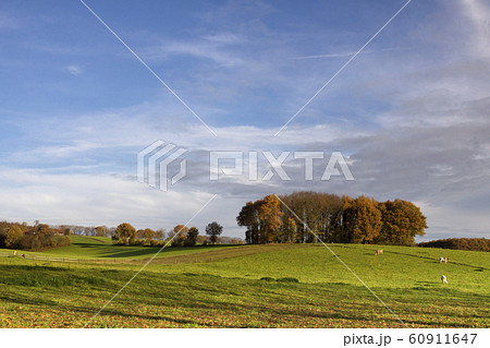 Landscape near Groesbeek Landscape near Groesbeek 60911647