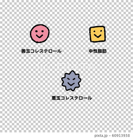 コレステロール　中性脂肪　善玉　悪玉　動脈硬化　イラスト 60913938