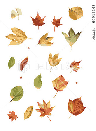 가을 잎 - 스톡일러스트 [60915143] - Pixta