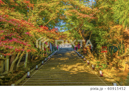 【秋】京都 法輪寺 【秋】京都 法輪寺 60915452