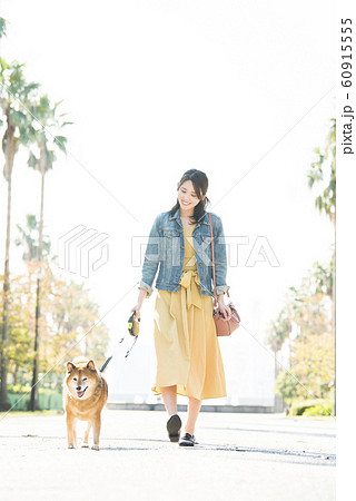 公園を散歩する若い女性と柴犬 公園を散歩する若い女性と柴犬 60915555