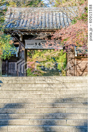 【秋】京都 法輪寺 山門 【秋】京都 法輪寺 山門 60915588