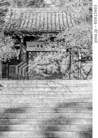 【セピア】秋 京都 法輪寺 山門 【セピア】秋 京都 法輪寺 山門 60915603