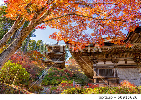 滋賀県　湖南三山の一つ　紅葉の美しい常楽寺の本堂と三重塔 60915626