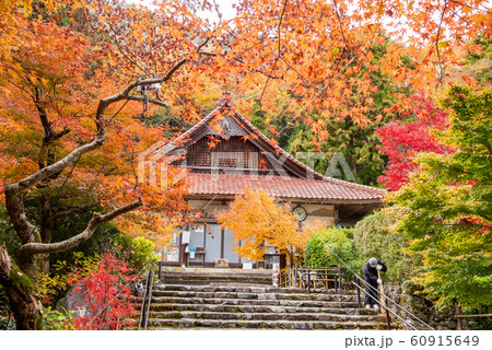 三重県 いなべ 紅葉の名所 聖宝寺の本堂 石段をお掃除する人 三重県 いなべ 紅葉の名所 聖宝寺の本堂 石段をお掃除する人 60915649