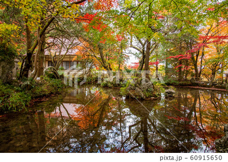 三重県　いなべ　紅葉の名所　聖宝寺の浄土池 60915650
