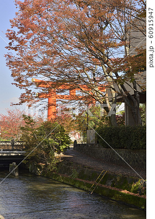 平安神宮　大鳥居 60915947