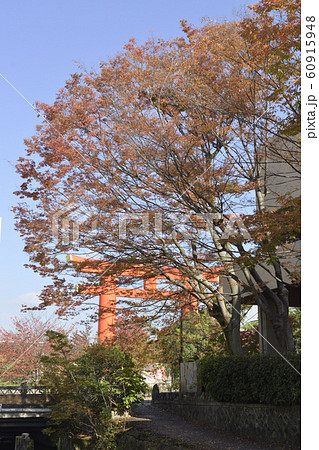 平安神宮 大鳥居 平安神宮 大鳥居 60915948