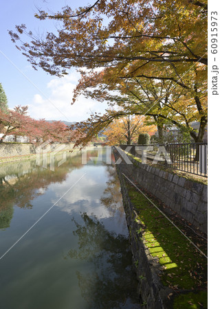 琵琶湖疎水(岡崎疏水)の紅葉 琵琶湖疎水(岡崎疏水)の紅葉 60915973