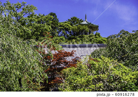 (千葉県)麻綿原高原 妙法生寺・天拝園 (千葉県)麻綿原高原 妙法生寺・天拝園 60916278