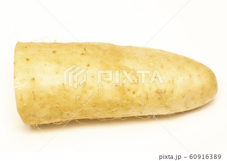 ヤマイモ 60916389