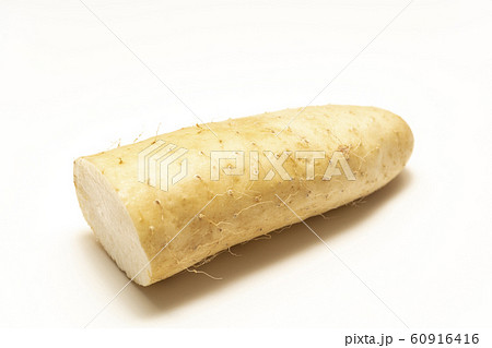 ヤマイモ 60916416