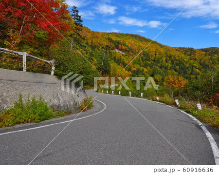 紅葉ロード 60916636