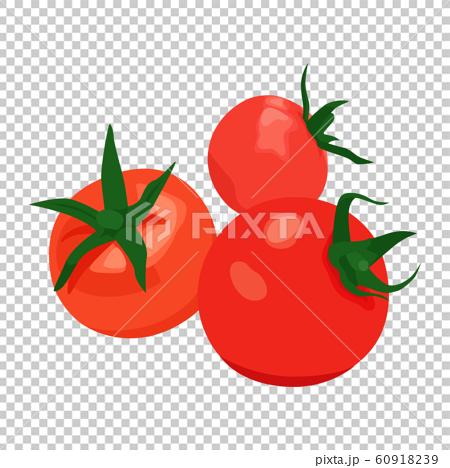 野菜のイラスト たくさんの小さいミニトマトのイラスト のイラスト素材