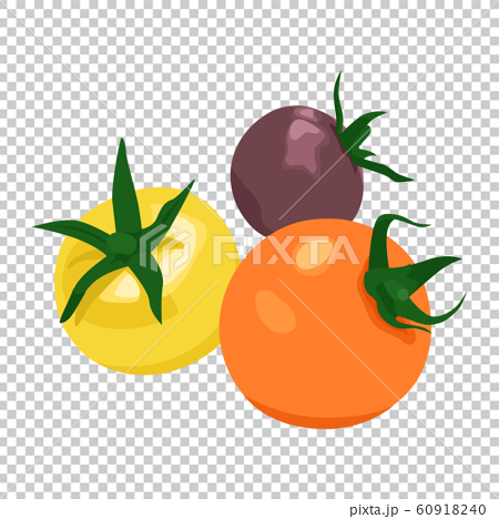 野菜のイラスト 黄色とオレンジ色と紫色のカラフルなミニトマトのイラスト のイラスト素材