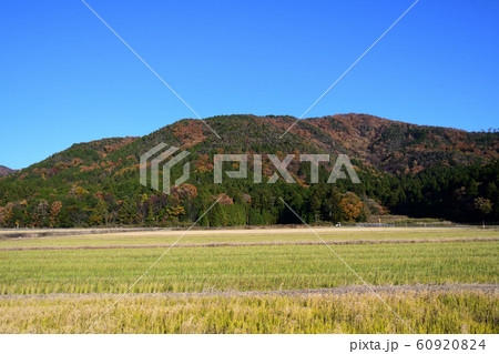 秋の風景 秋の風景 60920824