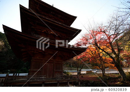 清瀧寺徳源院の秋2019 60920839