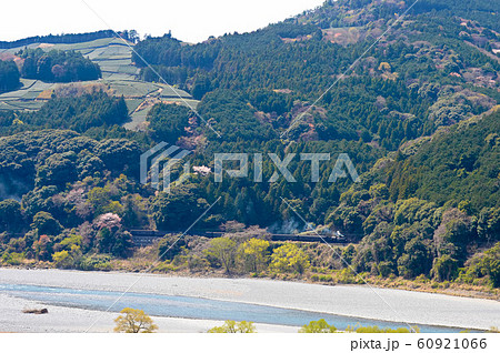 春のさくら号 60921066