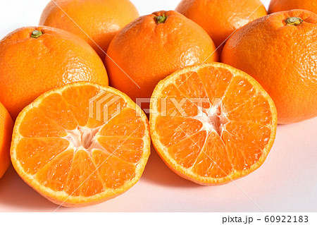 みかん（三ヶ日みかん） 60922183