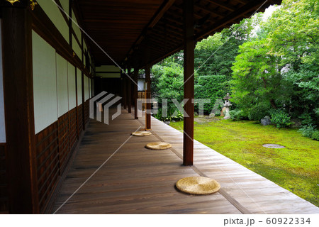 本法寺 巴の庭 本法寺 巴の庭 60922334