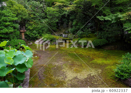 本法寺 巴の庭 本法寺 巴の庭 60922337