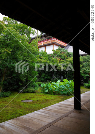 本法寺 巴の庭 本法寺 巴の庭 60922349