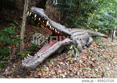 恐竜 恐竜 60922520