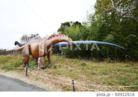 恐竜 60922618