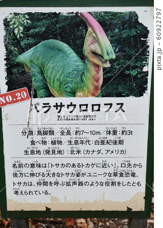 恐竜 60922797