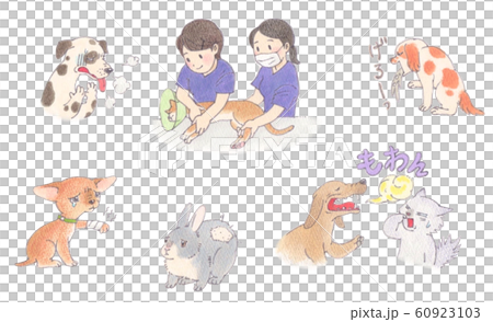 Pet disease 60923103
