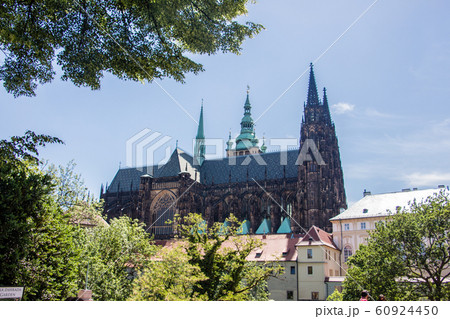 Castle of Prague view through some trees perfect light blue sky 60924450