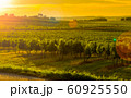 Happy New Year 2020 wine Background for your Christmas 60925550