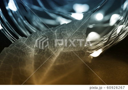 Beautiful bright green leaf on light bulbs. Beautiful bright green leaf on light bulbs. 60926267