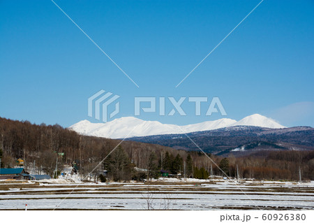 春の農村と雪山と青空　大雪山 60926380