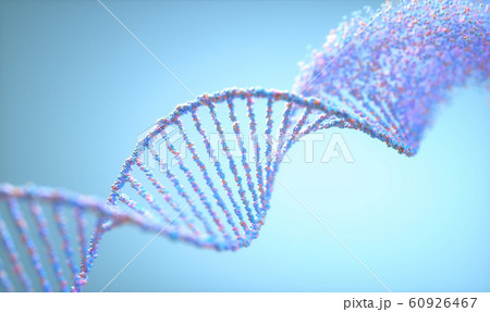 Oxidative DNA Damage Genetic Disorder Molecular 60926467
