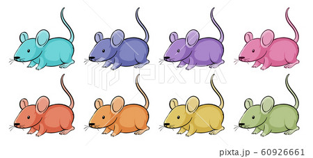 Isolated set of mouse in many color 60926661