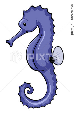 Blue seahorse on white background Blue seahorse on white background 60926750