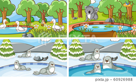 Background scenes of animals in the wild Background scenes of animals in the wild 60926988