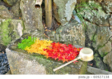 【カラフルな紅葉の手水舎】 救馬渓観音:和歌山県西牟婁郡上富田町生馬 【カラフルな紅葉の手水舎】 救馬渓観音:和歌山県西牟婁郡上富田町生馬 60927138