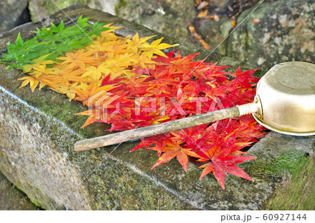 【カラフルな紅葉の手水舎】 救馬渓観音:和歌山県西牟婁郡上富田町生馬 【カラフルな紅葉の手水舎】 救馬渓観音:和歌山県西牟婁郡上富田町生馬 60927144