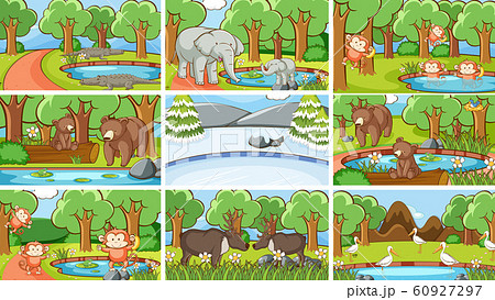 Background scenes of animals in the wild 60927297
