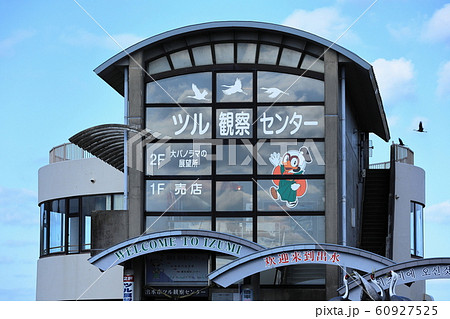 出水市ツル観察センター 出水市ツル観察センター 60927525