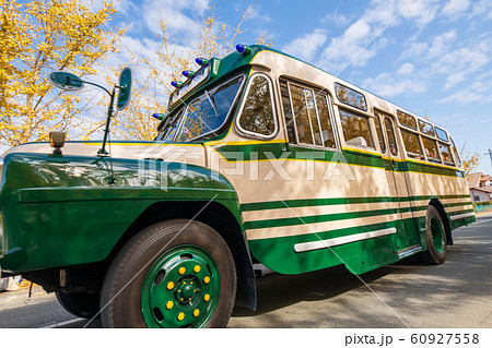 黄金色の太原イチョウ並木とレトロバス【福岡県】 60927558