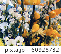 フォックスフェス 60928732