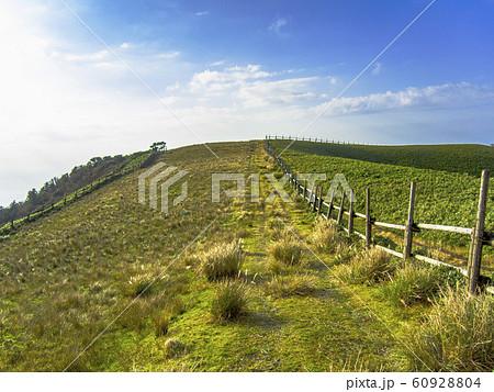 【静岡県伊豆半島】伊豆山稜線歩道からの風景【秋・仁科峠付近】 60928804