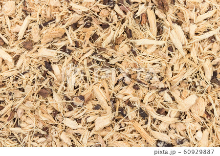 乾燥 キャッサバ ルート ユッカ ルート ハーブ: Cassava Root,Yucca root 乾燥 キャッサバ ルート ユッカ ルート ハーブ: Cassava Root,Yucca root 60929887