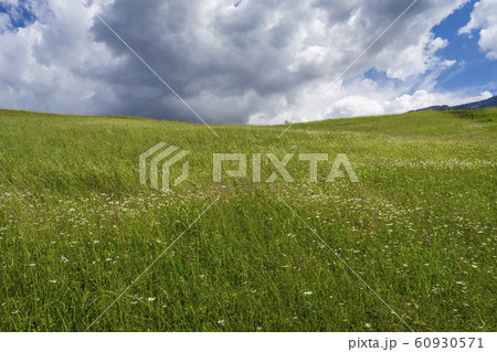 Meadow against the sky. Santa Maddalena village, 60930571