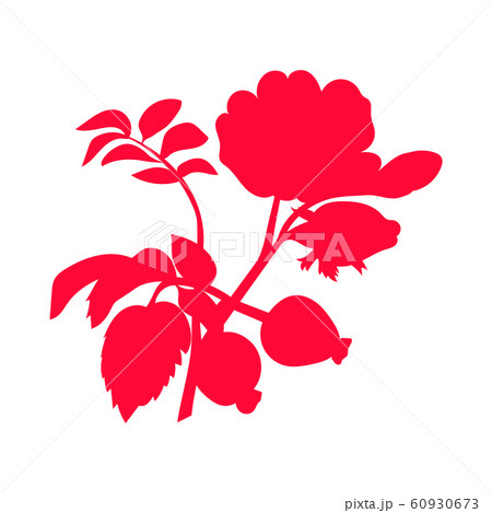 Red rosehip berry flat icon with inscription Red rosehip berry flat icon with inscription 60930673